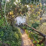 Bed & Breakfast La Palombara