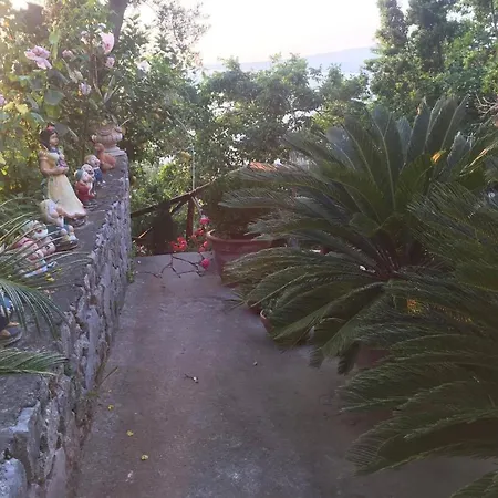 La Palombara Bed & Breakfast *