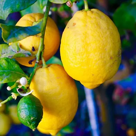 La Palombara 4* Vico Equense