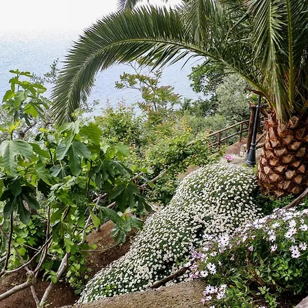 Bed and Breakfast La Palombara Vico Equense