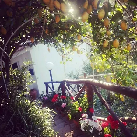 La Palombara Bed and Breakfast