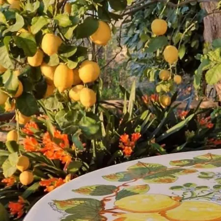 La Palombara Bed & Breakfast Vico Equense