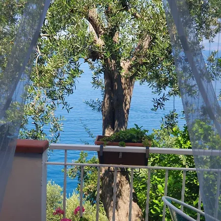 La Palombara Bed & Breakfast *