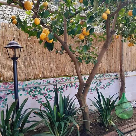 Bed & Breakfast La Palombara *