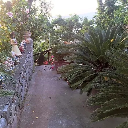 La Palombara 4*