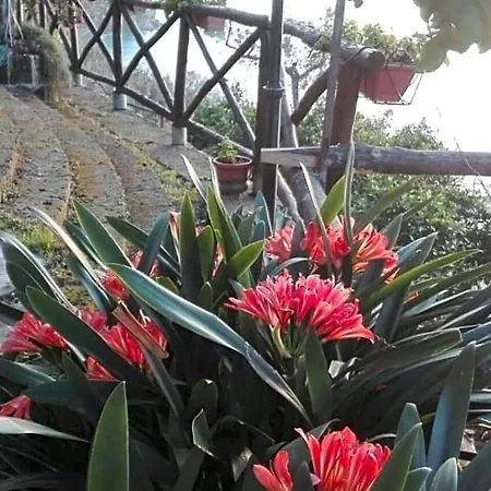 La Palombara ויקו אקוונסה