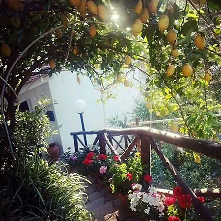 La Palombara 4* فيكو إيكوينس