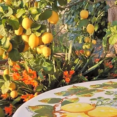 La Palombara فندق مبيت وإفطار