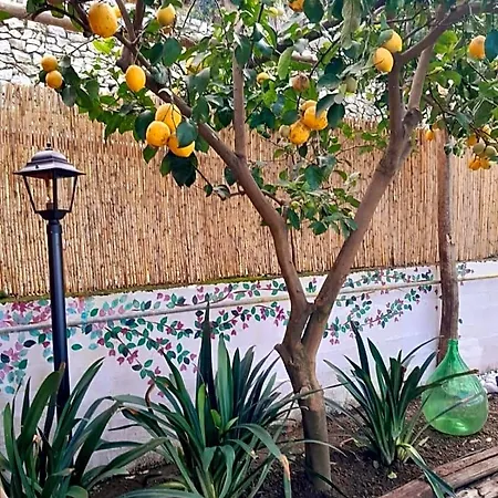 La Palombara