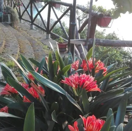 La Palombara Vico Equense