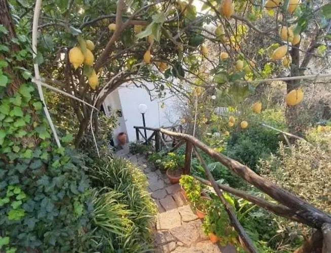 Frühstückspension La Palombara